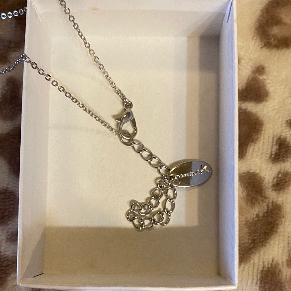 Paw Print Crystal Pendant Necklace - Silver Tone - Picture 2 of 2